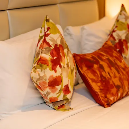 特拉利大酒店 3*