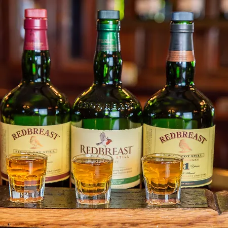 特拉利大酒店 酒店