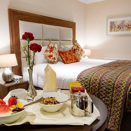 特拉利大酒店 酒店 3*