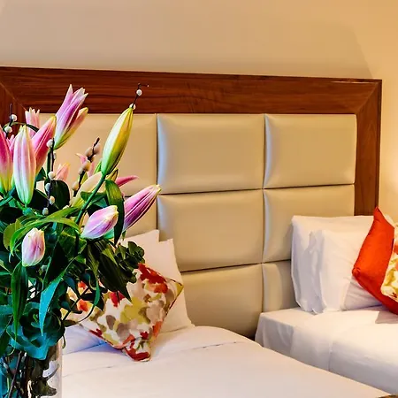 特拉利大酒店 3*